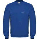 color:royal